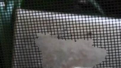 如何防止老鼠进入到家里