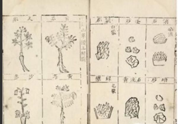 中国人有多能吃？