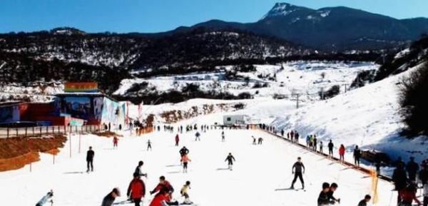 为什么中国冬奥会项目比较弱