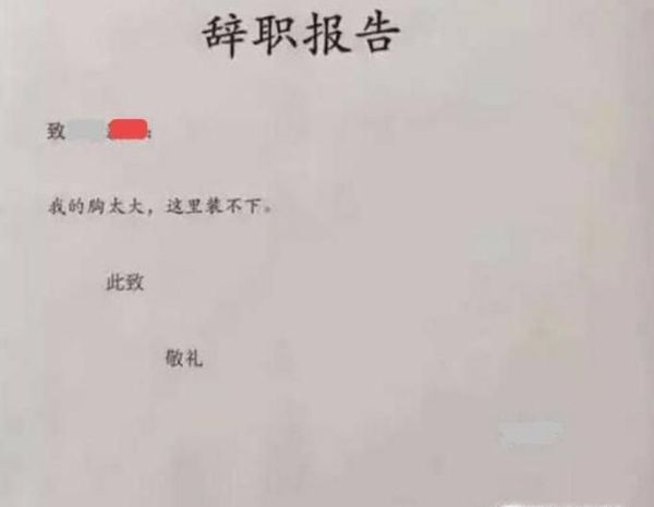 90后有哪些奇葩的辞职理由