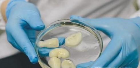 3D打印器官靠谱吗