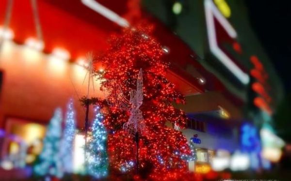 圣诞卡的祝福语应该怎么写