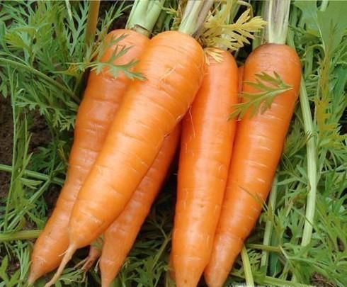 4个小妙招教你摆脱大额头