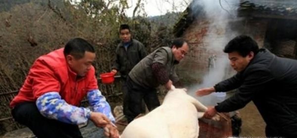 盘点儿时过年八大件