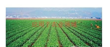 克隆技术在我们的生活中有哪些应用