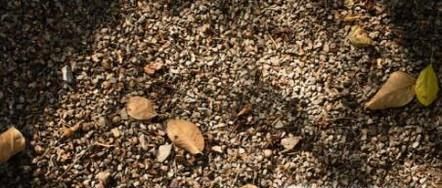 胡萝卜储存方法