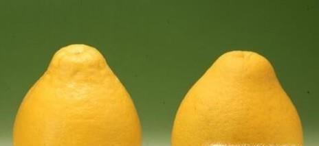 什么样的柚子好，怎样挑选柚子