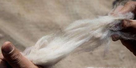 怎么鉴别真假羊绒的方法