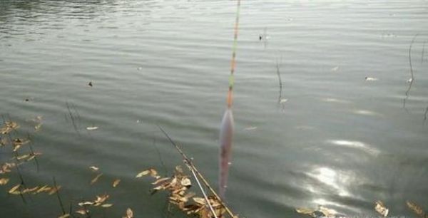 冬季钓鱼技巧 六个不钓教你在冬季如何钓鱼