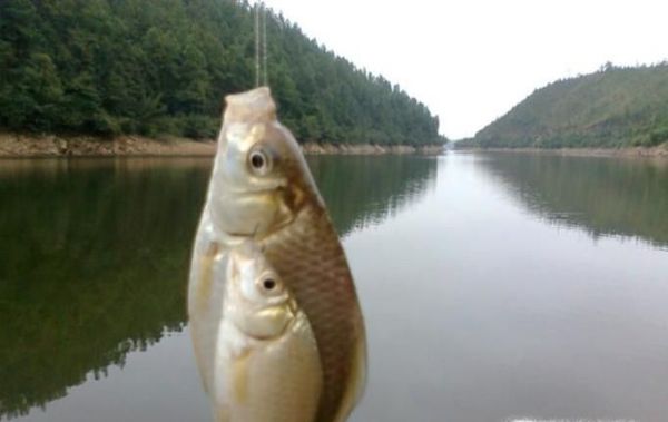 冬季钓鱼技巧 六个不钓教你在冬季如何钓鱼