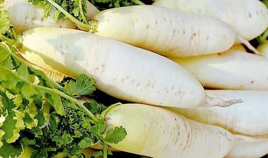 大萝卜的储存方法有哪几种