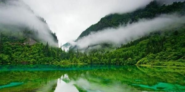 有哪些人人从从众众的景区