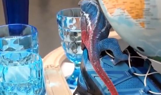 变色龙为什么会变色