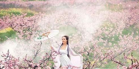 犯桃花是什么意思