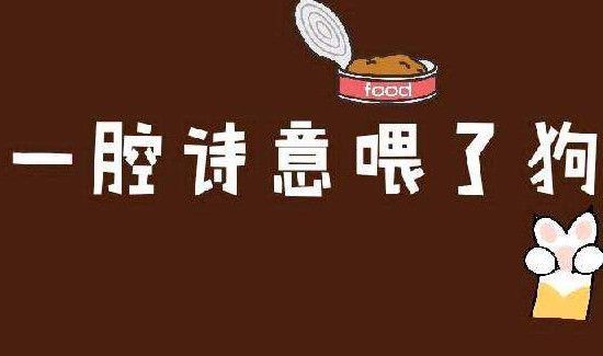 一腔热血喂了狗的意思