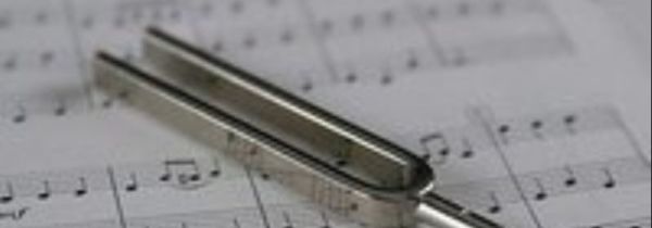 音叉上的数字代表的是什么