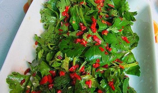 香芹叶子可以吃吗