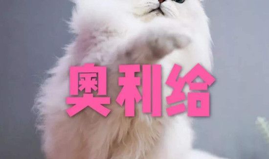 奥利给出自哪里