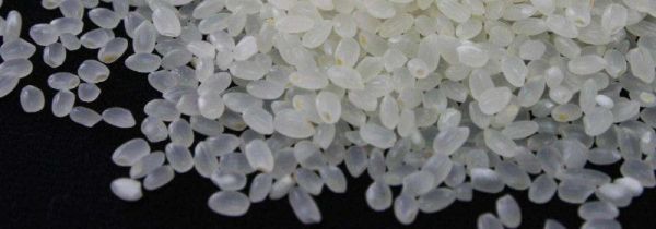 小町米和普通米的区别