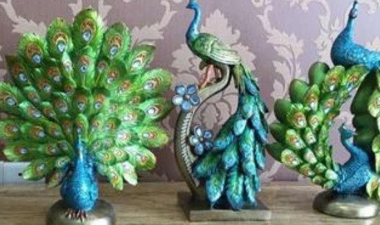 家里摆放孔雀的禁忌