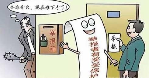 举报需要提供什么证据