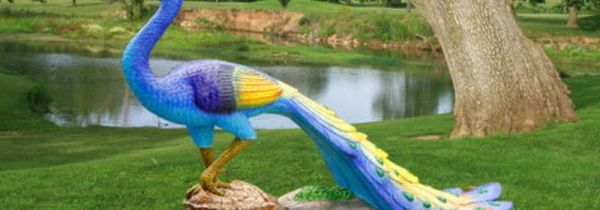 家里摆放孔雀的禁忌