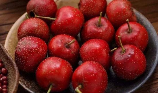 鲜山楂可以直接吃吗