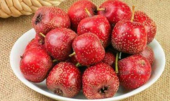 鲜山楂可以直接吃吗