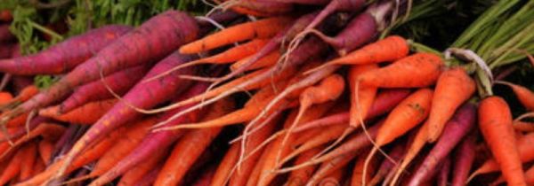 鸡肉和红萝卜能一起吃吗