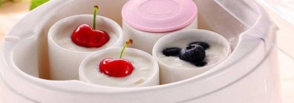 专家怎么看酸奶机内胆