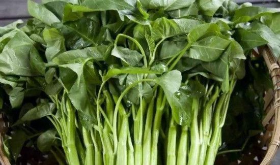 烤盘都可以烤什么