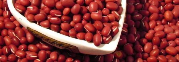 红豆生虫子怎么处理