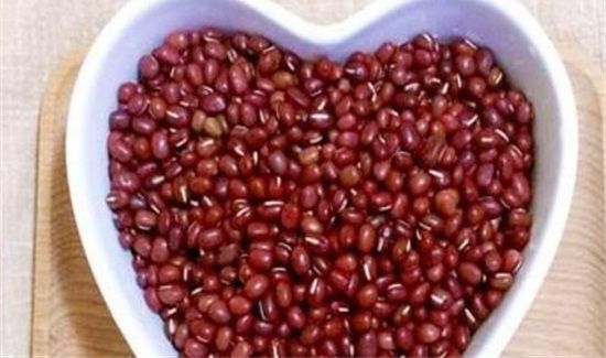 红豆生虫子怎么处理