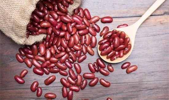 红豆生虫子怎么处理