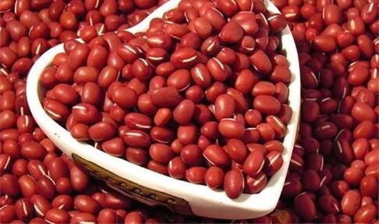 如何防止红豆生虫