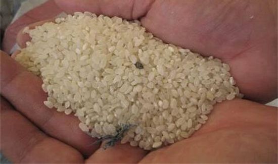 防止大米霉变的方法