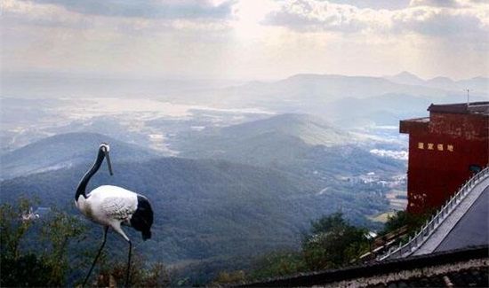 茅山高度是多少米