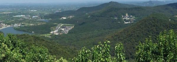 茅山高度是多少米