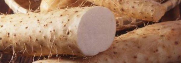 山药核桃能一起吃吗