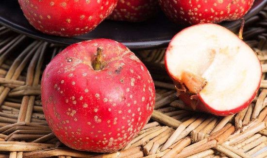 山药和山楂能一起吃吗