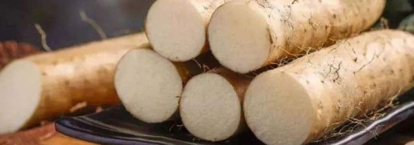 山药和山楂能一起吃吗