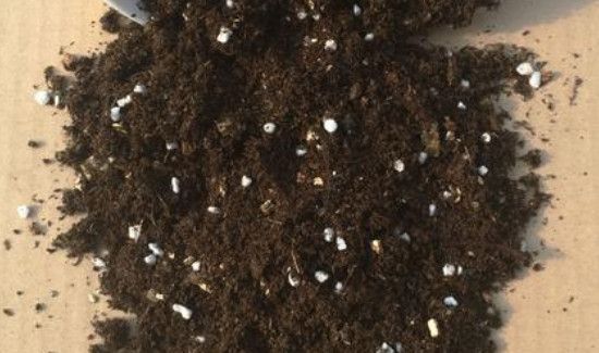 废菌棒怎么做营养土