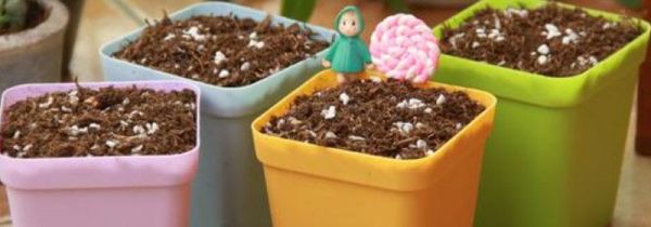 废菌棒怎么做营养土