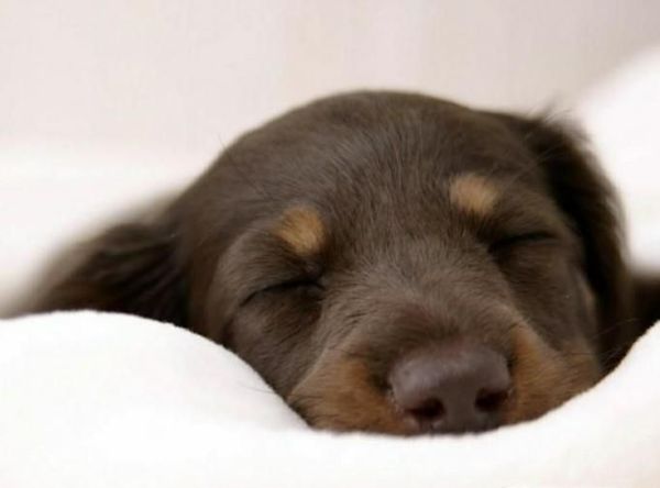 教你4招轻松应对“节后综合症”