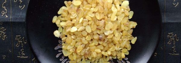 怎么辨别真假皂角米