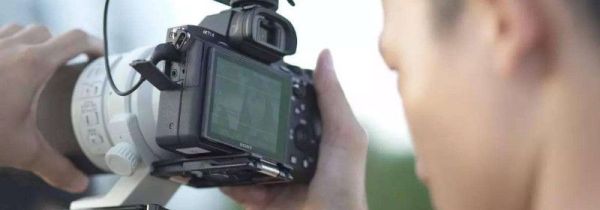 为什么vlog这么火