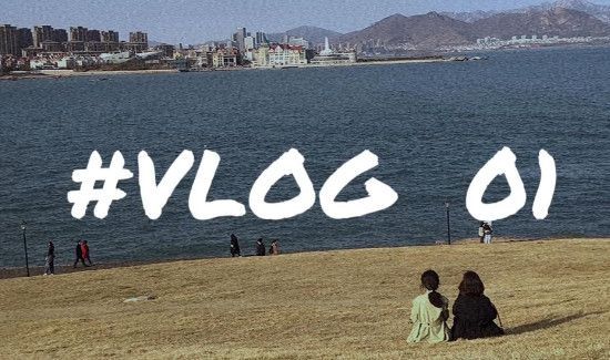 为什么vlog这么火