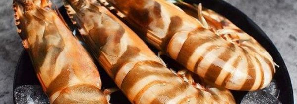 九节虾为什么那么贵