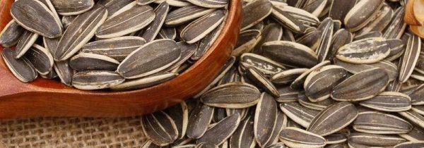 五香瓜子的危害