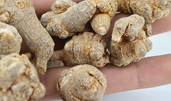 三七无剪口和有剪口的区别